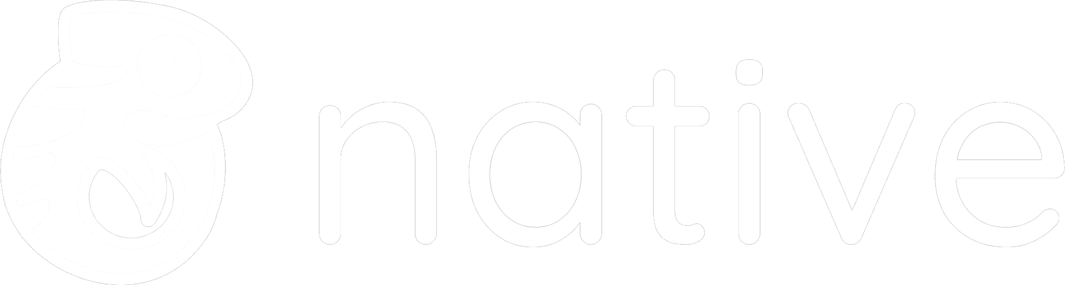 /img/home/ecosystem/native.png