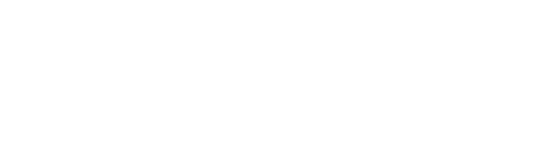 /img/invest/gnv.png